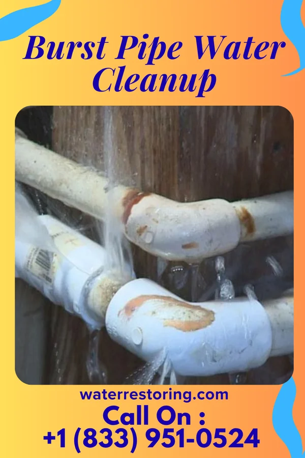 Burst Pipe Water Cleanup in Artesia, MS